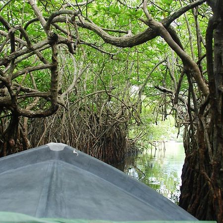 Lagoon Garden Hotel Beruwala Eksteriør billede