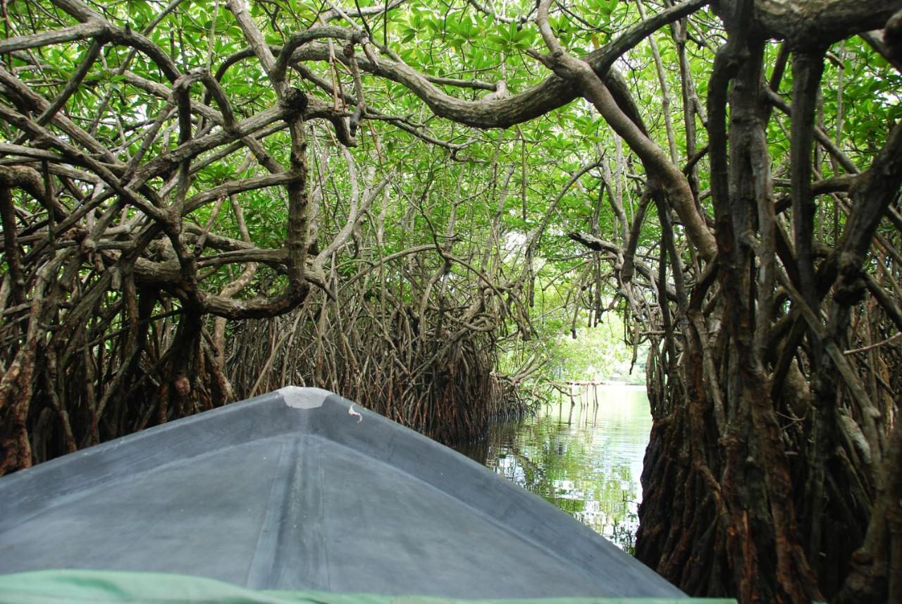 Lagoon Garden Hotel Beruwala Eksteriør billede